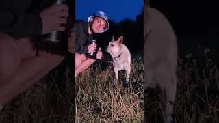 barbecue médiéval au sommet de la Slovaquie #summer #sunset #goodvibes